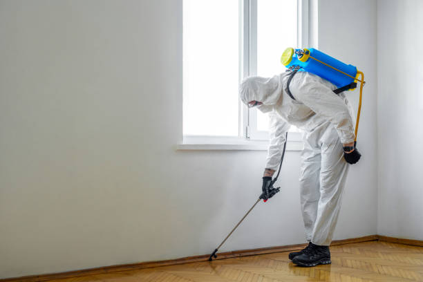 Best Fumigation Services  in Lincoln Center, KS